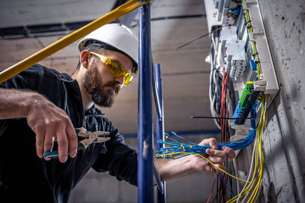 Best Electric Panel Repair  in Catlin, IL